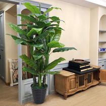 Simulation plant fake potted interior decoration large plastic fake flower bionic green plant fake tree living room landscape banana tree