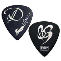 Nissan ESP Ruiza (D) guitar pick Spot