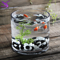 Desktop glass fish tank thickened glass ultra-white small fish tank hydroponics vase green roe fish tank does not leak water
