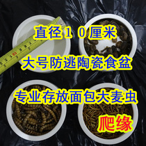 Large 10cm diameter anti-escape ceramic food basin water basin anti-escape food basin