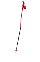 Atomic Atomic Redster GS Red skis Poles Red Devil giant slalom ski pole