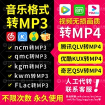  Music Video format ncm qmc kgm flac m4a qlv kux qsv to mp3mp4 converter