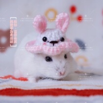 (Bai Fumei Shop) Cherry Blossom Rabbit Hat Pet Hat Hamster Hat Golden Bear Heart Mouse Totoro Photograph