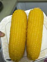 Frozen Dadong boutique Heilongjiang Province cold black soil yellow waxy frozen corn strong non-genetically modified 20