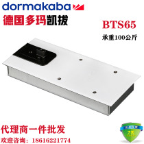 German DORMA Domar Spring BTS-65 Not Positioned Automatic Return Imported Spring 100kg