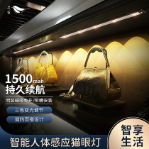 Lingque led rechargeable human body sensor light with wireless wardrobe cabinet light home wiring-free shoe cabinet bottom light bar