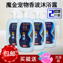 Magic Gold Pooch Body Wash of Bath Lotion SHAMPOO MITE Bath Lotion BATH LOTION Bath Terrace Teddy Gold Gross Bucket 1000ml