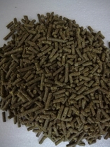  (Pet rabbit home)Kangbao Ryegrass Ryegrass particles 6 yuan 200g