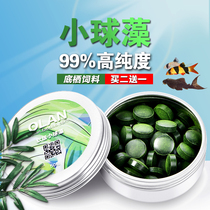 Chlorella fish algae beard large-shaped benthic feed benthic shrimp grain sinking bottom seedling open grain