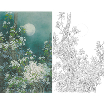 Gongpen Chinese painting drawing drawing material outline Zhou Zhongyao pear flower 90*140 with color map 625t