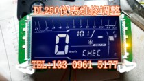 Suzuki DL250 GSX250 GW250 instrument meter mileage adjustment repair