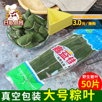 Xiangyuan zongzong leaves vacuum packaging free of mail leaves fresh big zongcotyledon leaves 50 bags of zongzi leaves