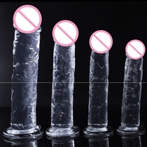 6 Size Jelly Dildo Realistic Penis Suction Cup Dildo Big Dic