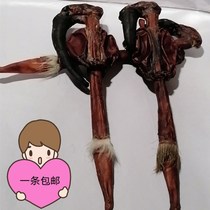 Northeast Jilin Mayflower deer whole branch fresh dry with tail deer whipped wine to cook soup for one day