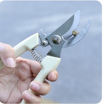 Flower scissors tool Household pruning scissors Fruit set Flower branch pruning Gardening scissors Indoor branch root multi-function