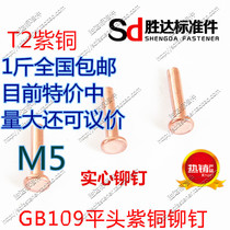 M5 * L series GB109 flat head copper rivets solid rivets 1kg nationwide