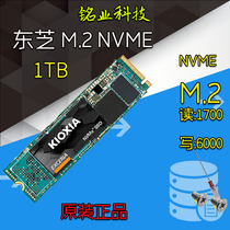 Kioxia Armor RC10 500G 1TB M 2 NVME SSD Pcie XG7