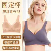 Swimming special underwear Quick-drying bra large chest incognito one-piece new rimless gathered anti-sagging vest type