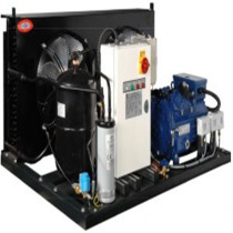 Suitable for British rcscutt semi-hermetic condenser Bock industrial refrigeration application stable supply weekly arrival