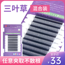 Clover eyelash grafting 0 05y type yy flowering Mei Lam shop special ultra-soft non-loose root c-end mixed natural