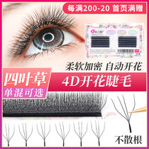 Clover grafted eyelashes 4D flowering finished eyelash shop special clover y-type super soft natural mixed package