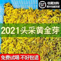 Head picking gold bud tea 2021 new tea super authentic Anji white tea Ming front green tea canned 125g Bud