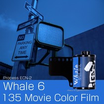 Color film film Whale Whale 6 blue cold tone 135 low sensitivity delicate young fine fine fine fine grain retro ECN2