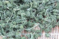 Changbai Mountain producing area ginseng direct sales American ginseng flower tea American ginseng flower bud large flower 500g 28 8 yuan