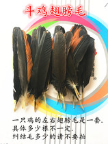 Fighter hair cockfighting chicken products cockfighting wings hair cockfighting feather cockfighting