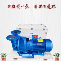 Zibo vacuum pump 2 BV5110 5111 5121 5131 161 ring 4 5 5 7 5 11 15KW
