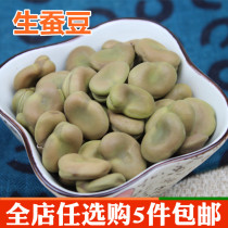 New broad bean raw broad bean dry Broad Bean Bean Hu bean 250g Farm new fresh grain can germinate full amount