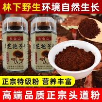 Ganoderma lucidum spore powder Changbai Mountain special head Road oil Ganoderma lucidum powder wild basswood Linzhi robe powder 250g