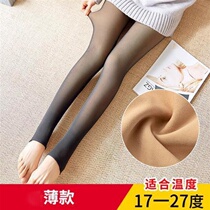 90-330 kautumn winter high waist beating bottom pants thin section fake overdraft meat pantyhose flight attendant grey overdraft and integrated pants