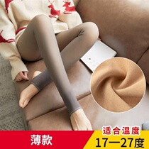 Flight Attendant Grey integrated with pantyhose female autumn and winter seamless high waist spring and autumn thickened with foot fake overdraft and underpants