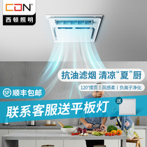 Sidon Lighting Liangba Kitchen Special Integrated Ceiling Embedded Cold Ba Electric Fan Toilet Air Conditioning Cold Fan