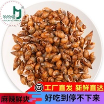 Haha mirror Lo flavor flagship food spicy snacks (conch) sea melon seeds Haiding shop full 100