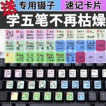 Wubi keyboard sticker laptop typing five pen learning Root 86 98 version desktop keyboard film sticker