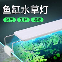 Highlight fish tank LED lamp water grass lamp stand LED grass cylinder lamp aquarium energy saving lighting lamp holder diving clip lamp