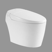 Huida bathroom 1126 integrated smart toilet