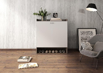 Zhibang into the family shoe cabinet Dingjin