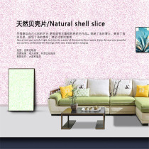 Capelli Art Paint Brand Whole House Quality Customized Modern Simple and generous Natural Shell Sheet Art Paint