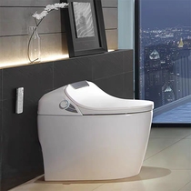Hegii Multi-function Automatic Instant Household Intelligent toilet All-in-one Machine HCE900A01
