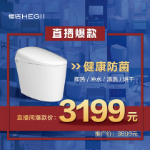 The Hengjie Q2i Intelligent Water closet-actually the House