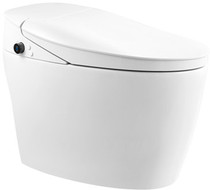 Emperor sanitary ware household water-saving ceramic heated toilet toilet integrated TA005-1 siphon semi-smart toilet