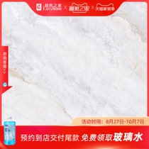 Xinghui Tile Pars White 1SNF808009F
