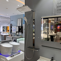 Wing whale bathroom shower shower shower super large water volume at home SPA6 root massage water column FT13551