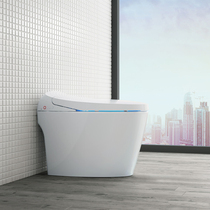 Rose Island Jardine Smart Toilet Z50 Waterbox Type All-in-One Machine
