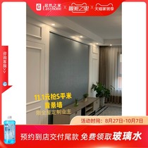 Vitto Blue Background Wall (only customized customers for the whole House)