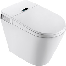 Dongpeng intelligent toilet integrated water tank full function cleaning and drying deodorant human body induction foot sensing 8261
