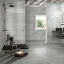 Roman Leo tile Caesar stone dark gray wall tile Floor tile C66J219